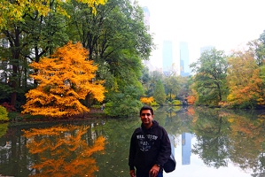 Here in Central Park