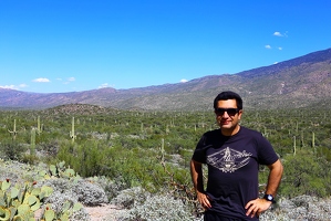 Surrounded by saguaros