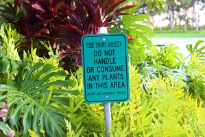 Rare sign found in Honolulu
