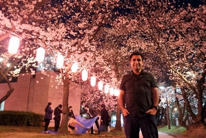 A night with sakuras