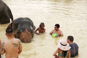Bathing the elephant
