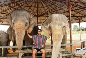 Me and Thai elephants