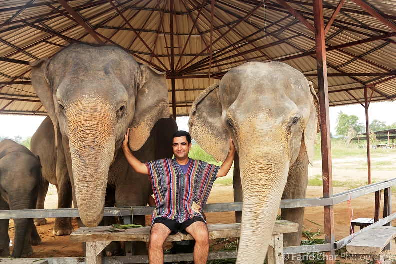 casual_Me and Thai elephants.jpg